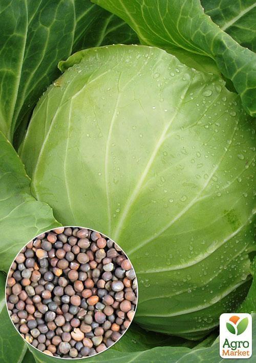 На вагу Капуста "Білосніжка" ТМ "Весна" ціна за 6г