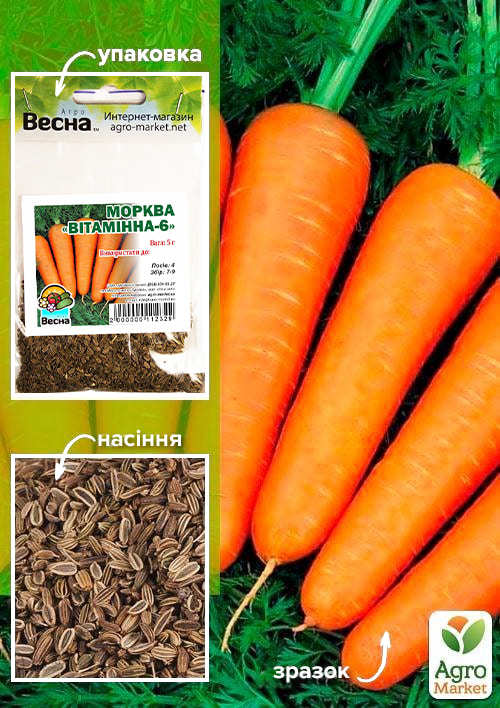 Морква "Вітамінна-6" (Зипер) ТМ "Весна" 5г