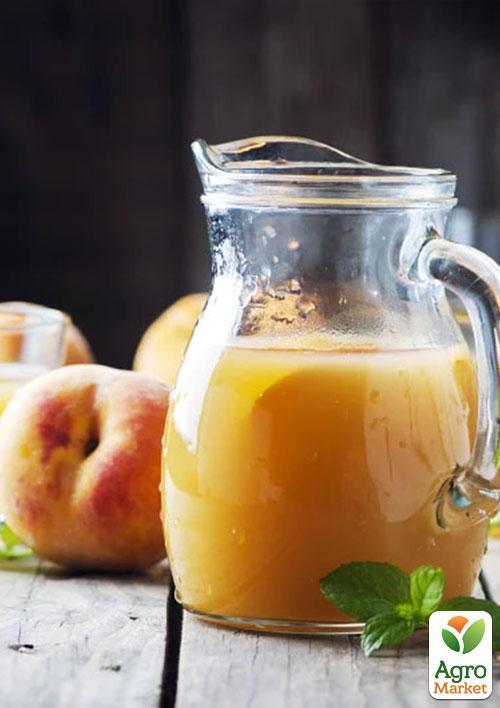 Персик "Фаворит Мореттини" (летний сорт, ранний срок созревания) - фото 4