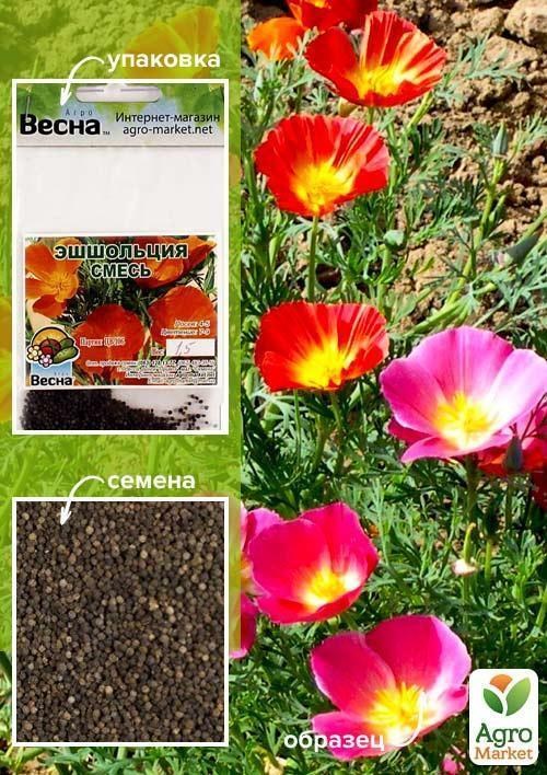 Ешшольція "Суміш" (Зипер) ТМ "Весна" 1г