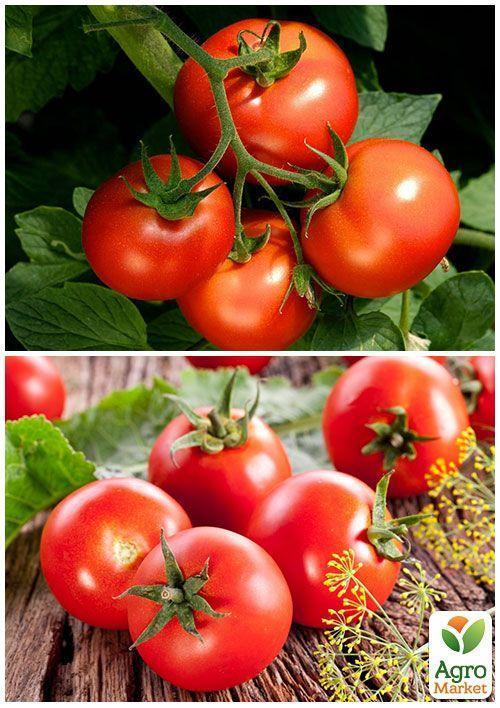 На вагу Томат "Волгоградський 5/95" ТМ "Весна" ціна за 1г - фото 2