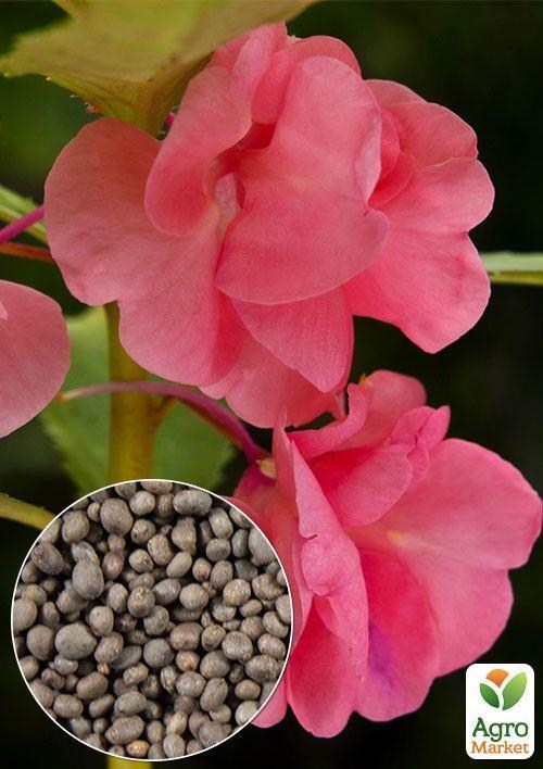 На вагу Бальзамін "Камелія" суміш ТМ "Весна" ціна за 3г