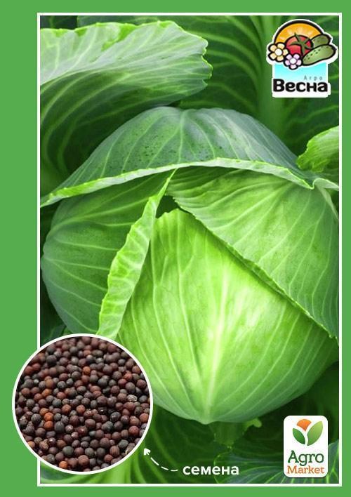 Капуста "Золотой гектар" ТМ "Весна" 0.5г