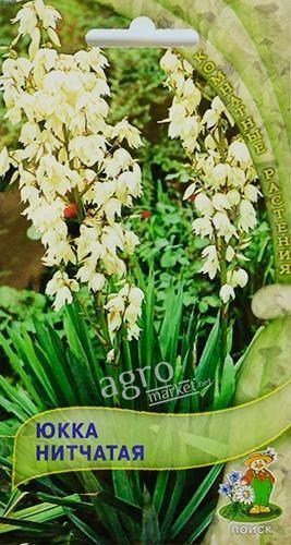 Юкка "Нитчатая" ТМ "Поиск" 3шт