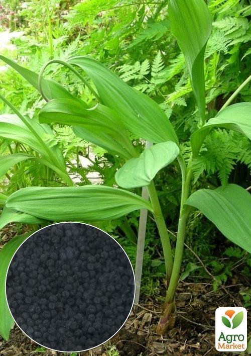 На развес Черемша ТМ "Весна" цена за 1г