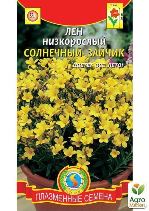 Лён многолетний "Солнечный зайчик" ТМ "Плазменные семена" 0,03г