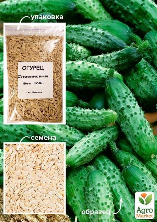 Огурец "Славянский" ТМ "Весна" 100г