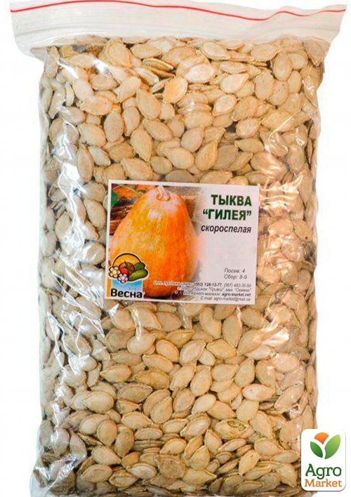 Тыква "Гилея" ТМ "Весна" 500г - фото 2