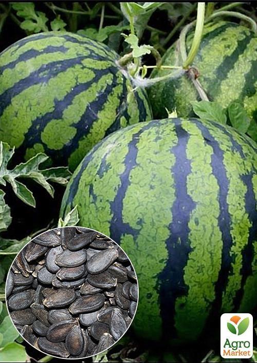 На развес Арбуз "Борчанский" ТМ "Весна" цена за 6г