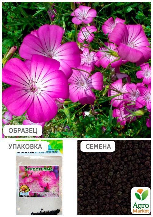 Агростемма (Зипер) ТМ "Весна" 1г - фото 4