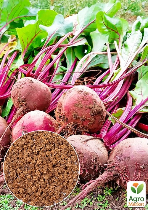 Свекла "Гопак" (Большой пакет) ТМ "Весна" 6г