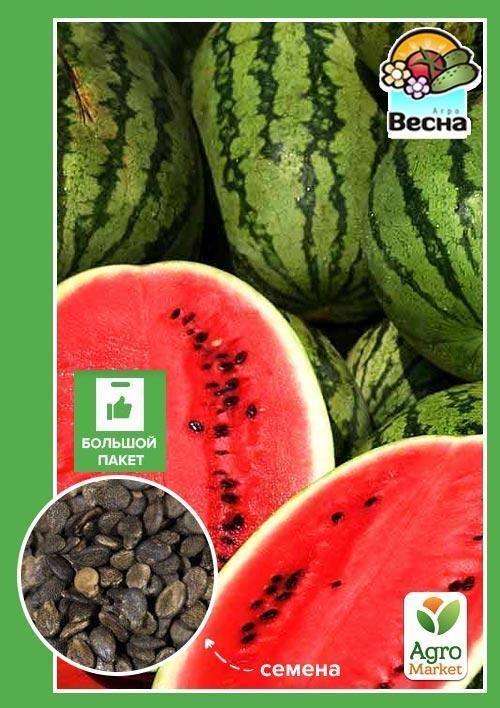 Арбуз "Астраханский " (Большой пакет) ТМ "Весна" 3г
