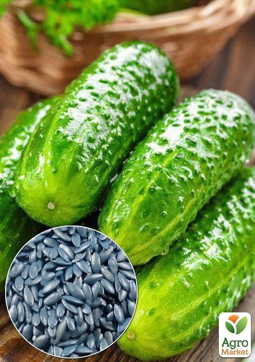 На развес Огурец обработанный "Гейм" ТМ "Весна" цена за 1г