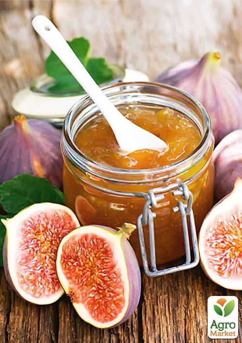 Інжир "Муасон чорний кримський"