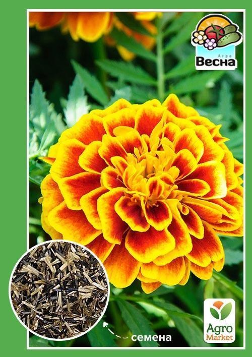 Чорнобривці "Софі" ТМ "Весна" 0.3г