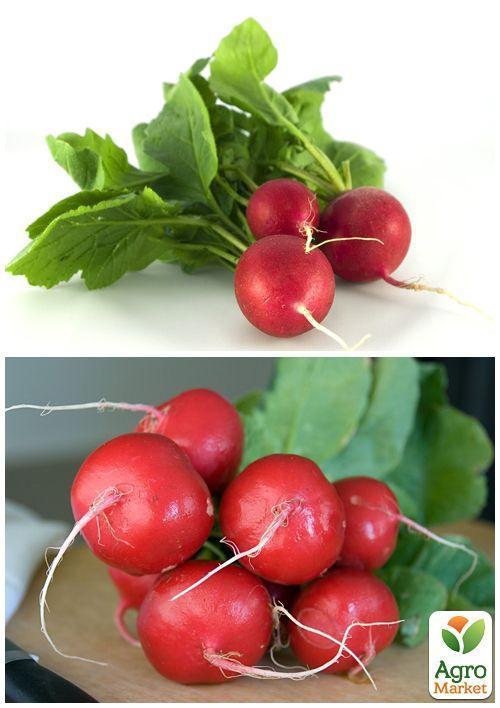 На вагу Редис "Тепличний" ТМ "Весна" ціна за 10г - фото 4