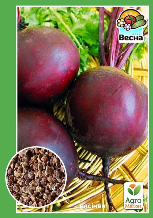 Буряк "Детройт" ТМ "Весна" 2г