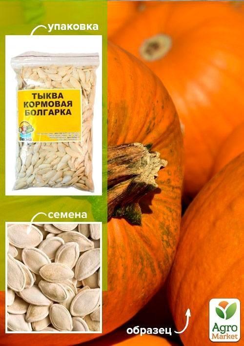 Гарбуз кормовий "Болгарка" ТМ "Весна" 100г
