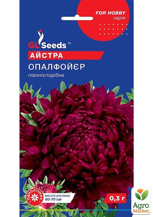 Астра "Опал Фойер" ТМ "GL SEEDS" 0.3г