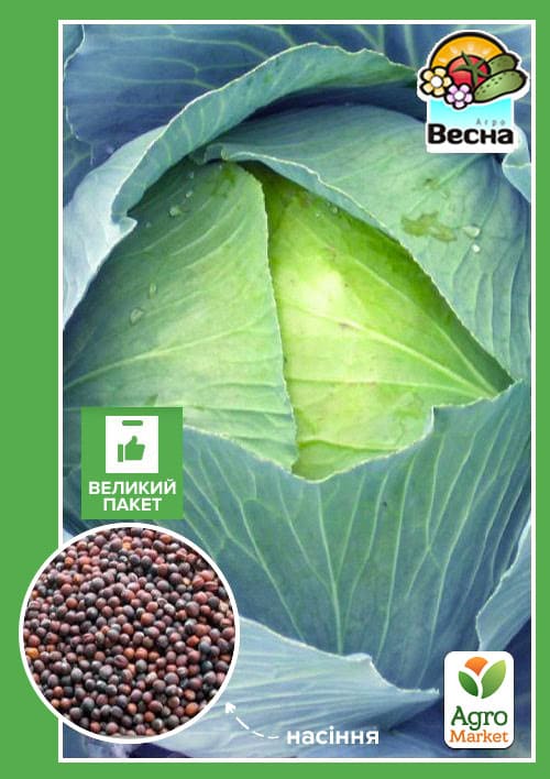 Капуста "Білосніжка" (Великий пакет) ТМ "Весна" 2,5г