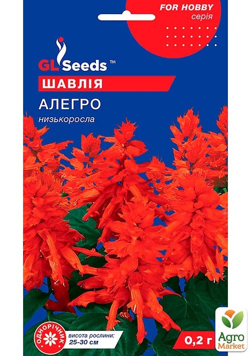 Сальвія "Алегро" ТМ "GL SEEDS" 0,1г