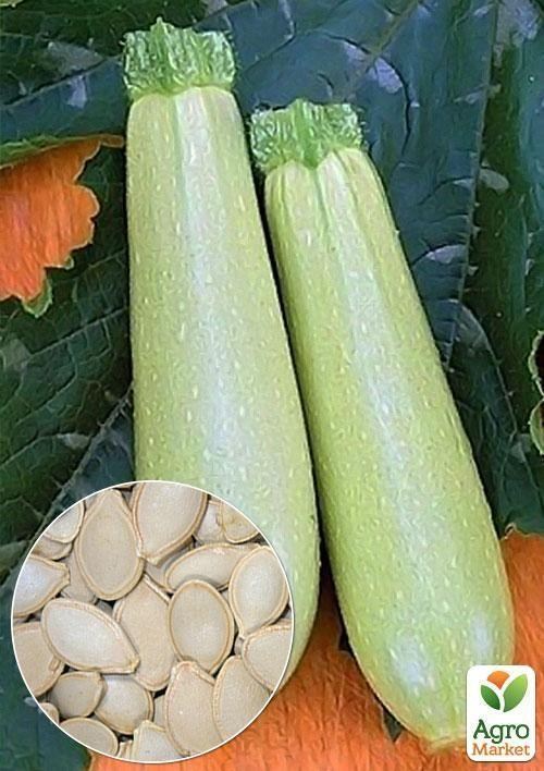 На вагу Кабачок "Аспірант" ТМ "Весна" ціна за 8г