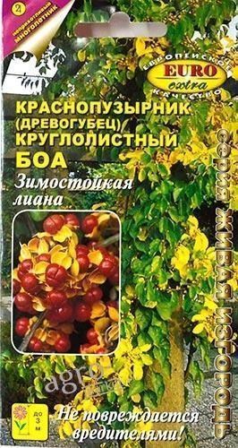 Краснопузырник (древогубец) "Круглолистный боа" ТМ "Аэлита" 0.1г