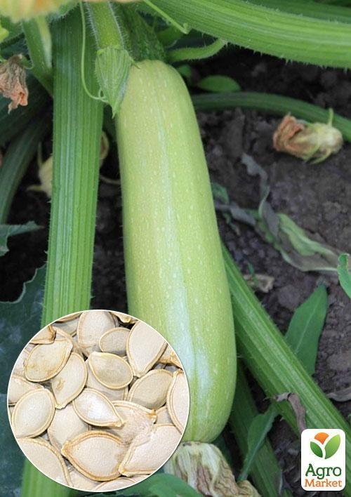 На развес Кабачок "Ленуца F1" ТМ "Весна" цена за 3г