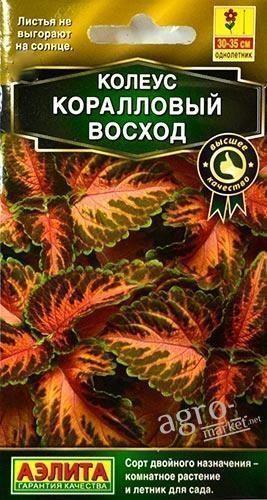 Колеус "Кораловий схід" ТМ "Аеліта" 10шт