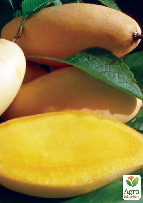 Манго желтое "Африканская дыня" ТМ "Vesna Exclusive" 2шт