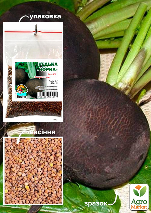 Редька "Черная" ТМ "Весна" 100г