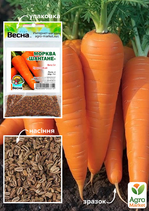 Морковь "Шантане" (Зипер) ТМ "Весна" 5г