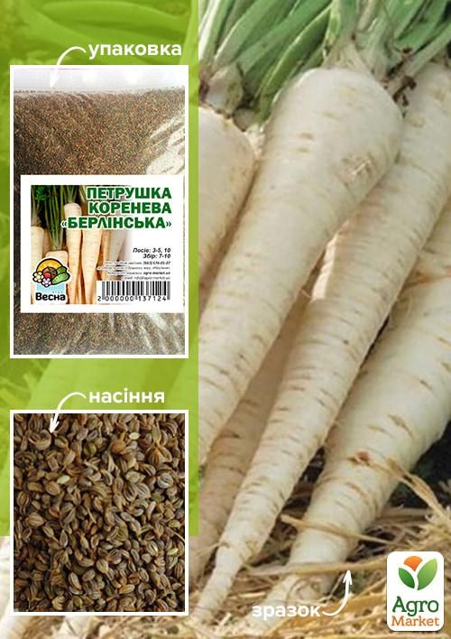Петрушка корневая "Берлинская" ТМ "Весна" 500г