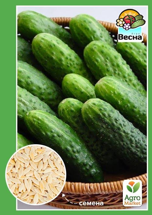 Огірок "Зятьок F1" ТМ "Весна" 0.25г