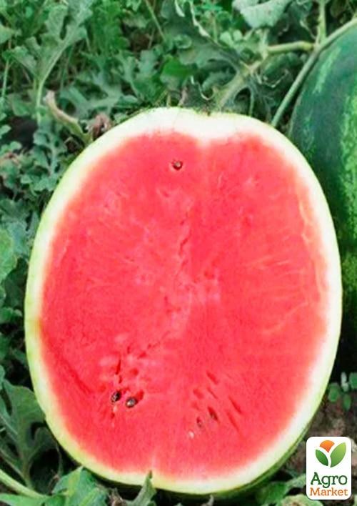 Кавун "Карістан" (у банці) ТМ "Весна" 100г