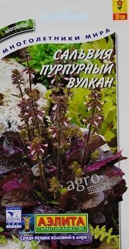 Сальвія "Пурпуровий вулкан" ТМ "АЕЛІТА" 7шт