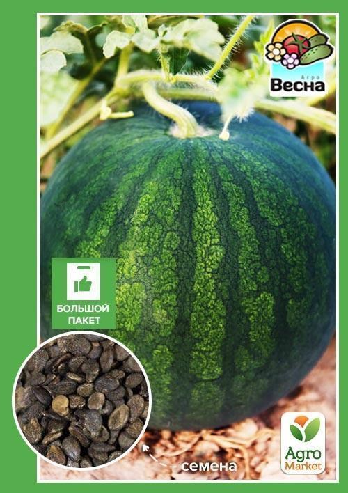 Арбуз "Северное  Сияние" (Большой пакет) ТМ "Весна" 4г