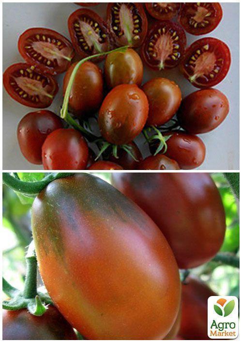 На развес Томат "Шоколадный зайчик" ТМ "Весна" цена за 1г - фото 4