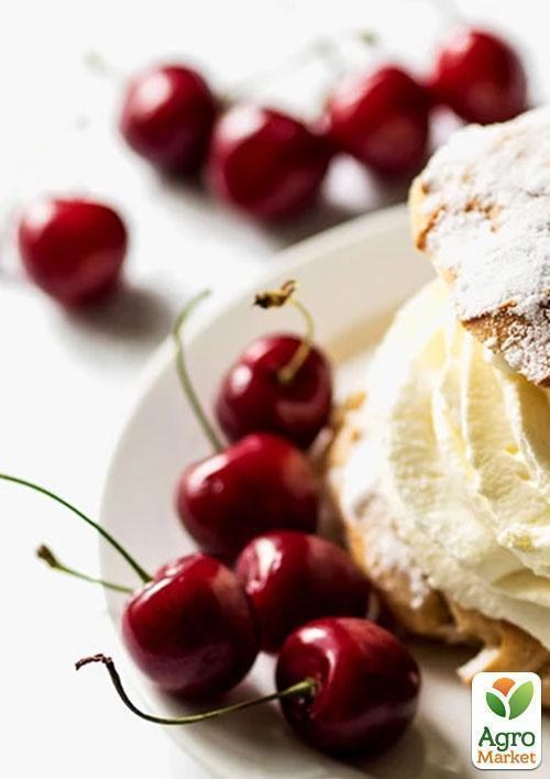 Эксклюзив! Вишня темно-красная "Мисс Диор" (Miss Dior) (премиальный высокоурожайный сорт)