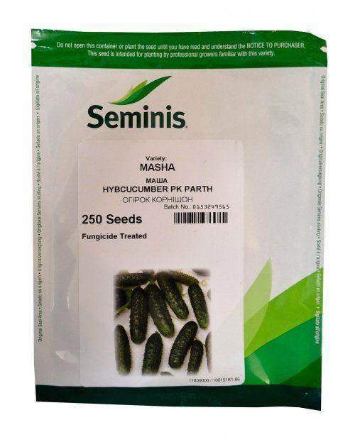 Огурец "Маша" ТМ "Seminis" 250шт