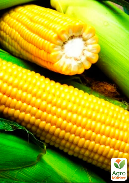 На вагу Кукурудза "Бондюель" ТМ "Весна" ціна за 40г - фото 2