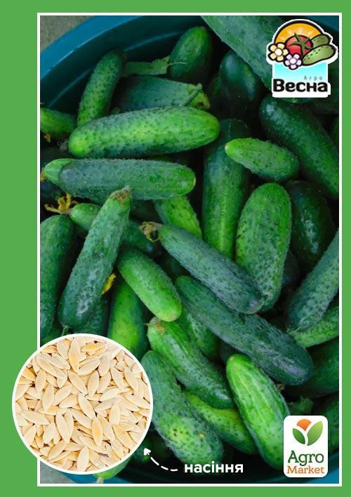 Огірок "Регіна F1" ТМ "Весна" 0.25г