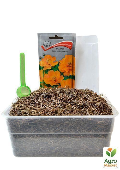 На вагу Космея "Сонячна помаранчева" ТМ "Весна" ціна за 2г - фото 2