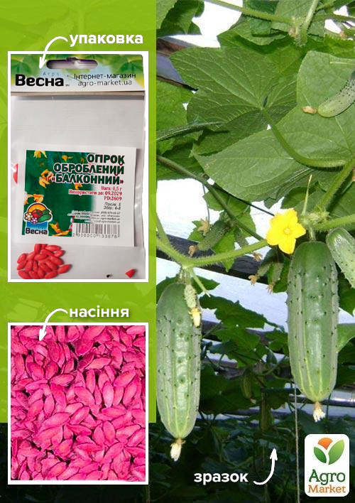 Огурец обработанный "Балконный" (Зипер) ТМ "Весна" 0.5г