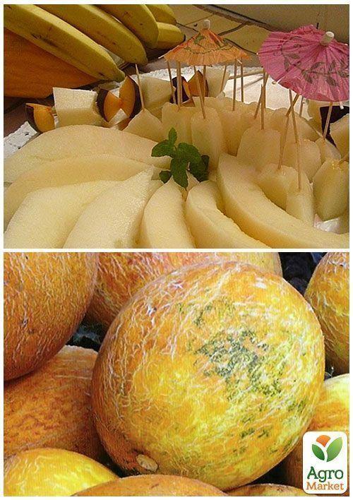 На вагу Диня "Амулет" ТМ "Весна" ціна за 6г - фото 3