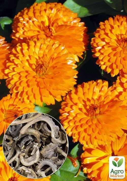 На вагу Календула "Дежавю" ТМ "Весна" ціна за 3г