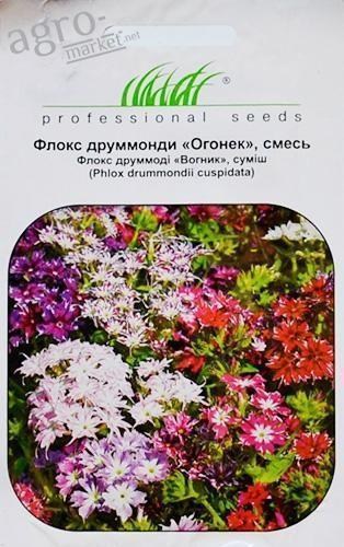 Флокс "Вогник" ТМ "Hem Zaden" 0.2г