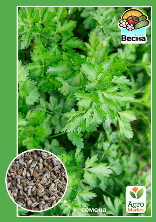 Петрушка "Балконна" (Новий пакет) ТМ "Весна" 2г