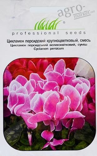 Цикламен персидский крупноцветковый смесь ТМ "HEM Zaden" 5шт