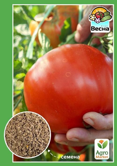 Томат "Снігур" (Новий пакет) ТМ "Весна" 0.1г